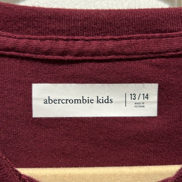 Abercrombie & Fitch Colorado Aspen Long Sleeve T-shirt - Picture 3 of 4